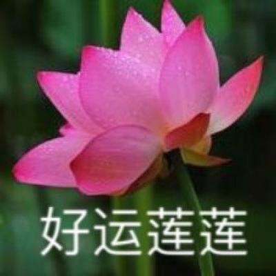 主宰之路手机版