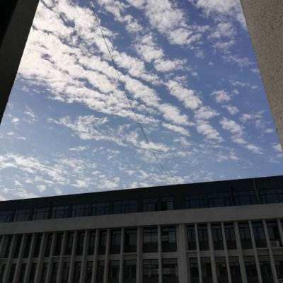 焚天仙决百度版下载