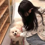 荒野战魂游戏